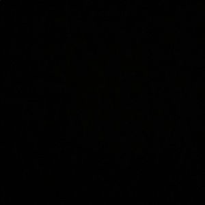 Meet your Posher, Reynaldo